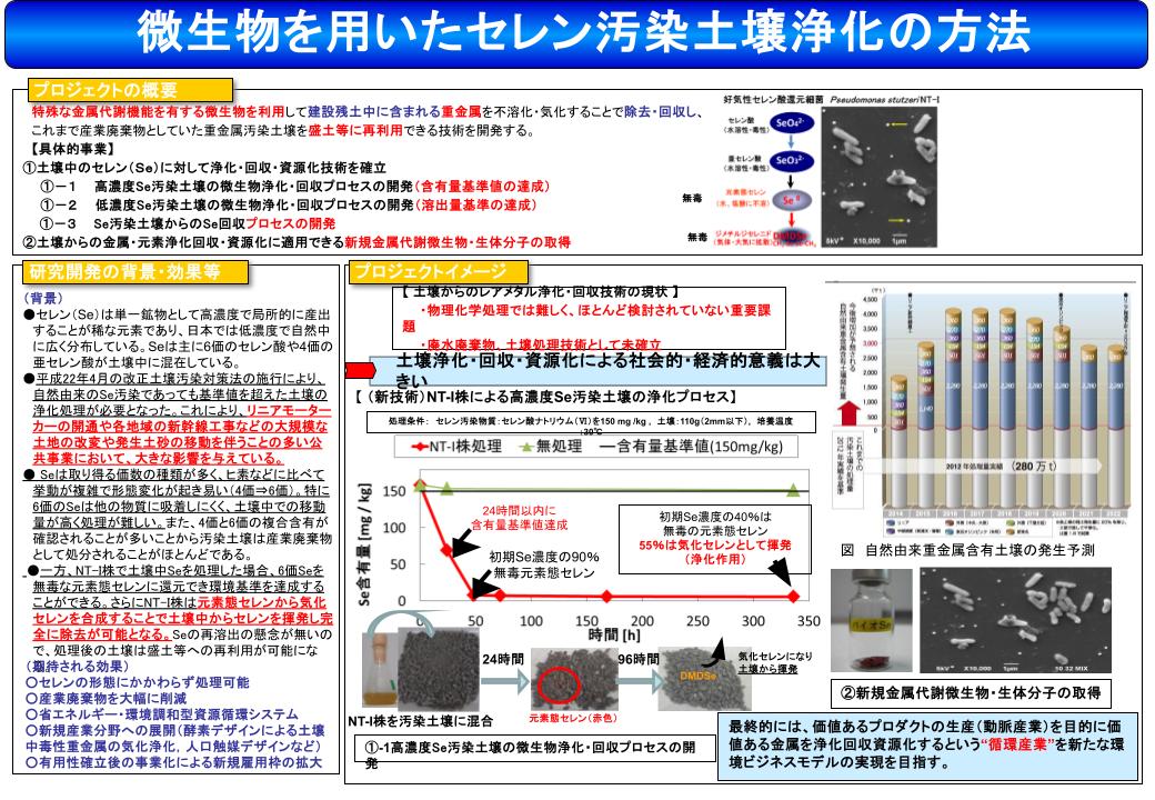 ファイルのサムネイル画像です