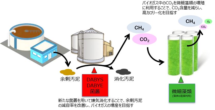 ファイルのサムネイル画像です