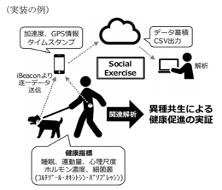 ファイルのサムネイル画像です